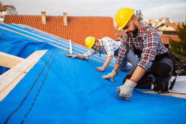 Roof Gutter Cleaning in Albion, IL