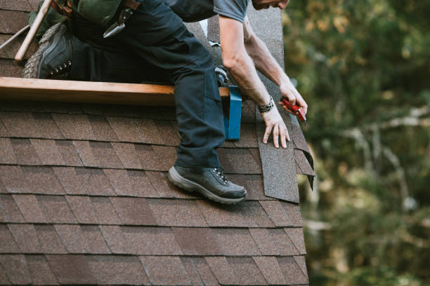 Best New Roof Installation  in Albion, IL